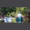 Tarpon Bay Explorers